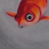 fishy