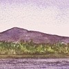 Untitled Study