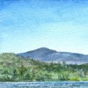 Untitled Watercolor Study