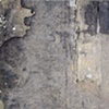 7 1/2" x 11 1/4" 