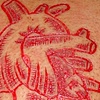 Anatomical Heart