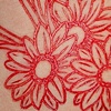 Tulips and Daisies