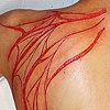 Collaboration - Demon Wings