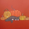 Sleeping Pumpkins