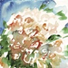 the bouquet