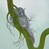 Lichen Animal