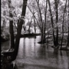 Homer Lake