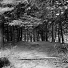 Allerton, Path