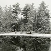 Untitled, Allerton Park in Winter