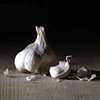 My Sister's Garlic