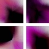 Poppy