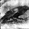 Book Illustrations