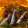 Runner Ducks