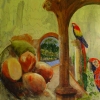 Macaws and Mangoes