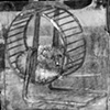 Hamster