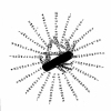 Tsim-Tsum Wheel