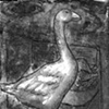 Goose