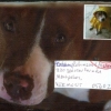 Dog Stamps