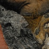 Untitled - Detail