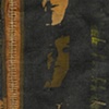 Donna Kardell - Detail