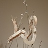 three dimensional work