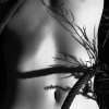metal rope