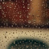 From my window in Bologna