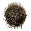 "Nest"