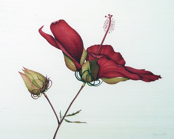 Red Hibiscus