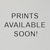 Buy Prints