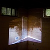 Basement, Projection