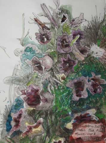 Canterbury Bell