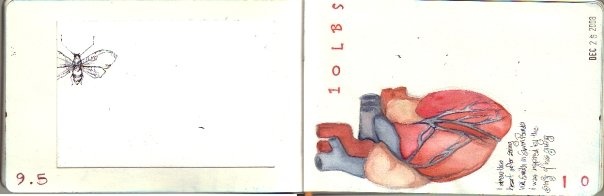 09.5-10
