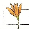 06-07