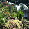 on of our gardens