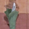 Bloodroot (Image Detail)