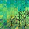 Convergence II (Full Image)