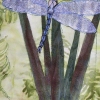Dragonfly - Ongoing Series (Image Detail)