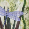 Dragonfly - Ongoing Series (Image Detail)