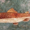 Montana Trout - Ongoing Series (Image Detail)