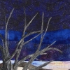 Deep Twilight (Image Detail)
