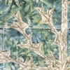 The Thistle (Image Detail)