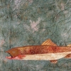 Montana Trout - Ongoing Series (Full Image)