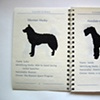 A Guide to Dogs - Pages 2 & 3