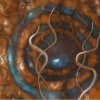 Locus