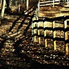 Farthest Fenceline