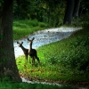 Neighbors