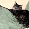 Clarice - Living the Life