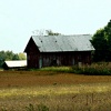 Indiana Landscape