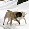 Zo and Kris Winter 2007